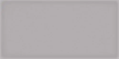 Vives Corso Gris 10x20
