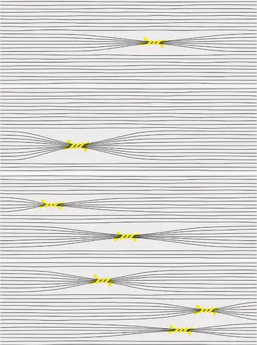 Vives Inuit Otomi-4 25x75