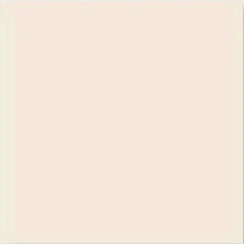 Vives Monocolor Nacar 20x20