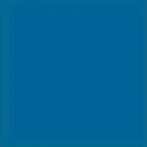 Vives Monocolor Mar 20x20