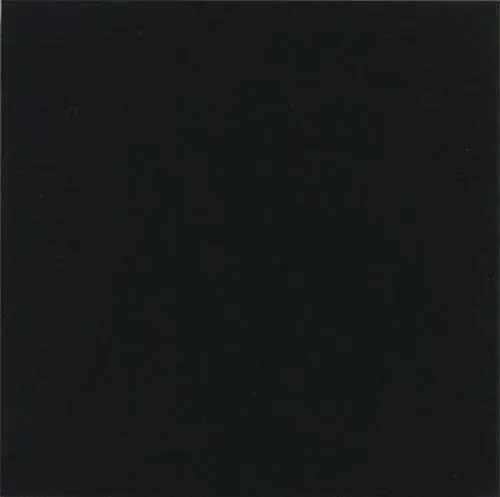 Vives Monocolor Negro 31,6x31,6
