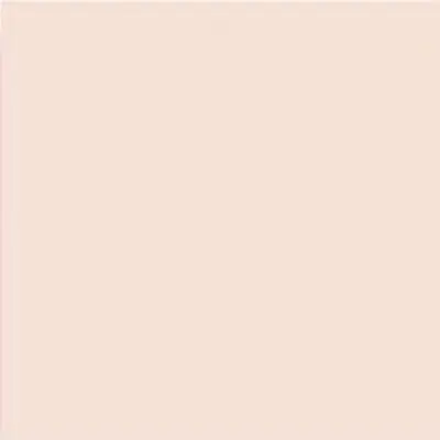 Vives Satinados Salmon Mate 20x20