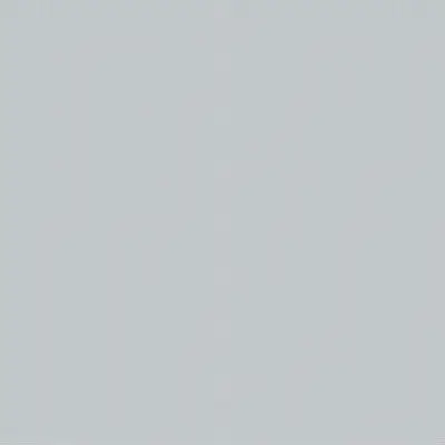 Vives Satinados Gris Mate 20x20