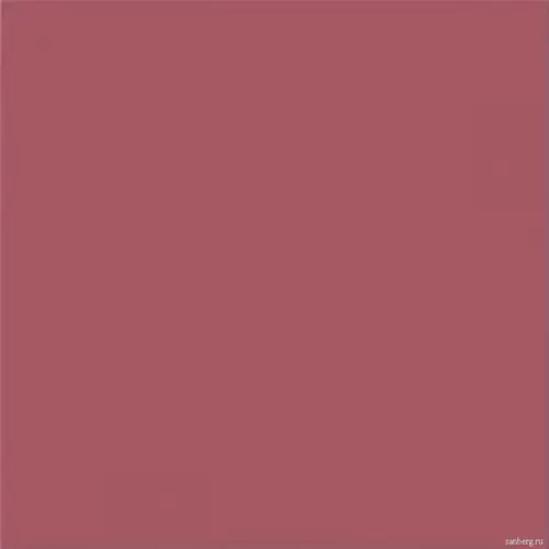 Vives Satinados Fucsia Mate 20x20