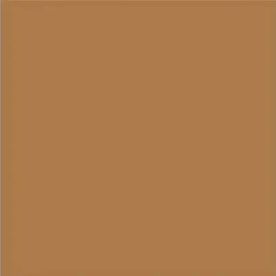 Vives Satinados Marron Mate 20x20