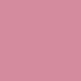 Vives Taco Dome Pink 4x4