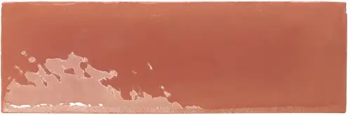 Wow Rebels Terracotta Gloss 5×15