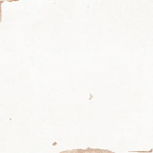 WOW Zellige Decor White 12,5x12,5