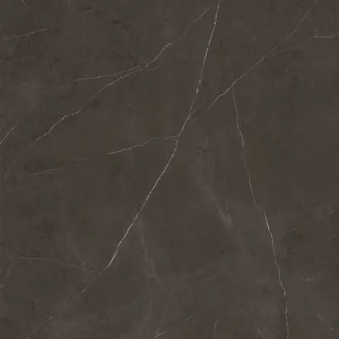 Xlight Liem Premium Dark Polished 120x120