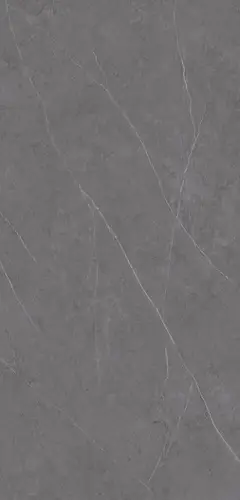 Xlight Liem Premium Grey Polished 120x250