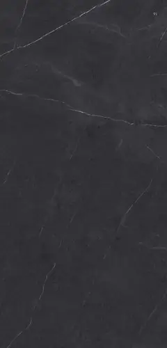 Xlight Liem Premium Black Polished 120x250