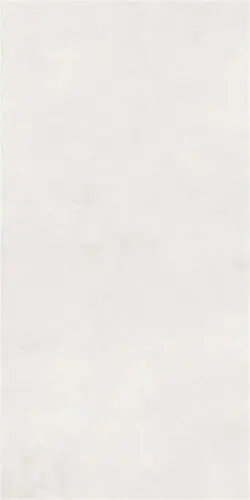 ARES MAT WHITE RECT.CB POR.TILE (P19526.6) 60х120