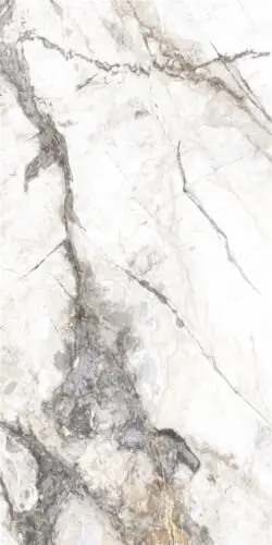 Invisible Marble Grey Polished 60х120