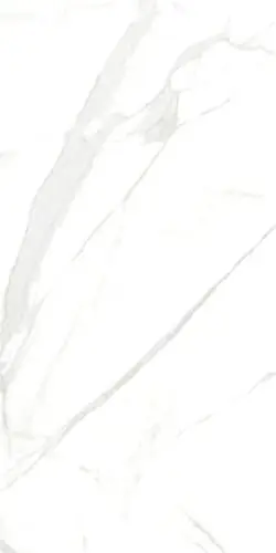 ROYAL MARBLE WHITE PLSH RC.POR.TL (P15006.6) 60х120