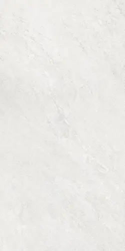TOUCH STONE R11 WHITE RECT POR TL (P12862.6) 60х120